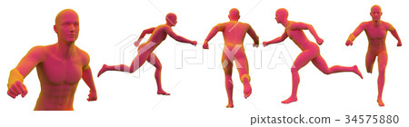 3d rendering medical illustration of the anatomy 3d rendering medical illustration of the anatomy 34575880