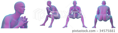3D rendering illustration of the human anatomy 3D rendering illustration of the human anatomy 34575881