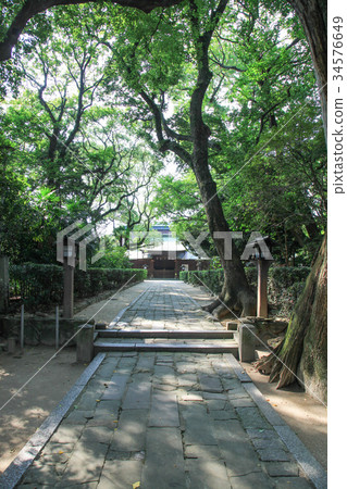 Hanazaki Palace 34576649