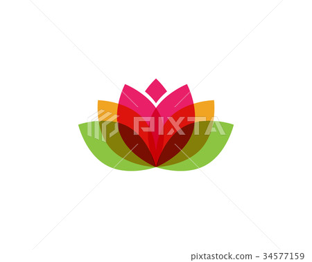 Beauty Vector flowers logo Beauty Vector flowers logo 34577159