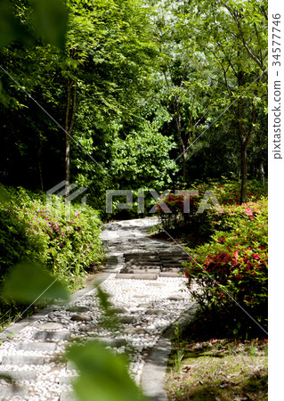 Trail, Park, Forest, Ilsan, Goyang-si, Gyeonggi-do 34577746