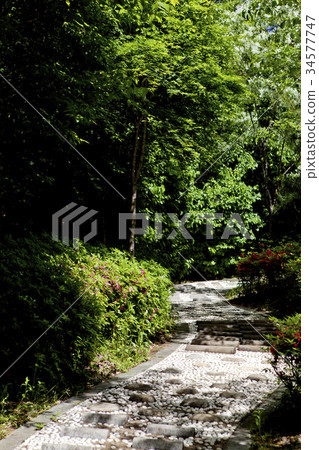 Trail, Park, Forest, Ilsan, Goyang-si, Gyeonggi-do Trail, Park, Forest, Ilsan, Goyang-si, Gyeonggi-do 34577747
