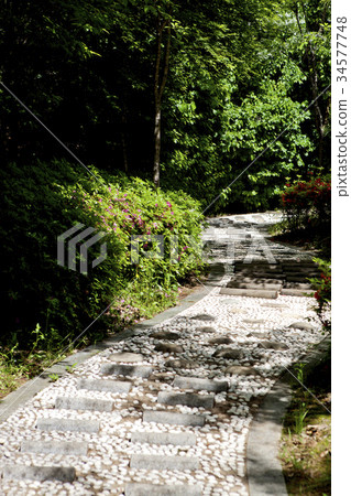 Trail, Park, Forest, Ilsan, Goyang-si, Gyeonggi-do Trail, Park, Forest, Ilsan, Goyang-si, Gyeonggi-do 34577748