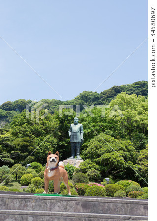 Saigo Takamori bronze statue-Kagoshima City- Saigo Takamori bronze statue-Kagoshima City- 34580697
