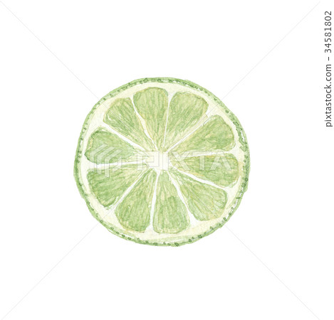 lime  34581802