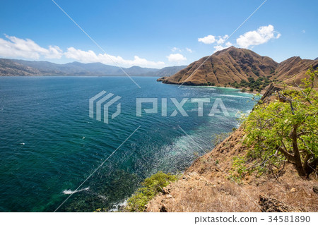 Pink Beach of the Komodo Islands Flores Sea 34581890