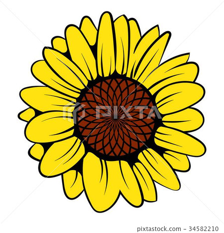 Sunflower icon, icon cartoon 34582210