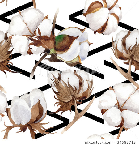 Wildflower cotton flower pattern in a watercolor 34582712