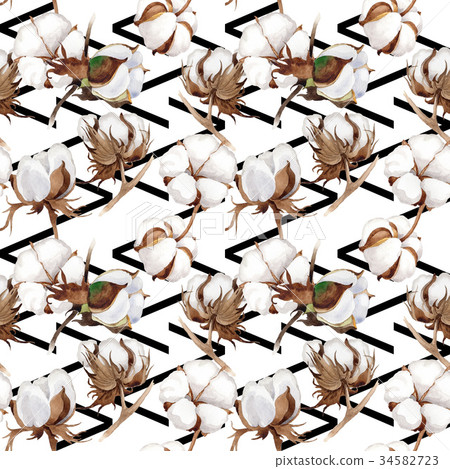 Wildflower cotton flower pattern in a watercolor Wildflower cotton flower pattern in a watercolor 34582723