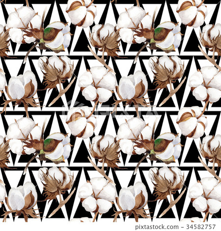 Wildflower cotton flower pattern in a watercolor 34582757