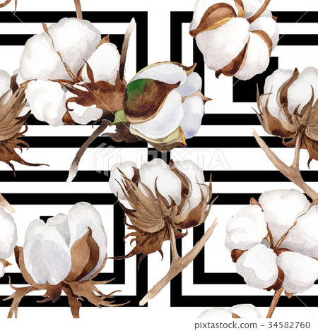 Wildflower cotton flower pattern in a watercolor Wildflower cotton flower pattern in a watercolor 34582760