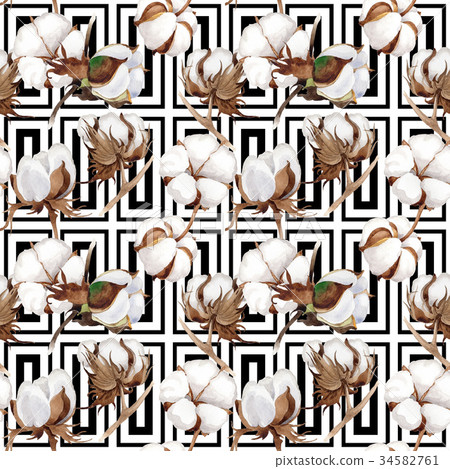 Wildflower cotton flower pattern in a watercolor Wildflower cotton flower pattern in a watercolor 34582761