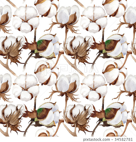 Wildflower cotton flower pattern in a watercolor Wildflower cotton flower pattern in a watercolor 34582781
