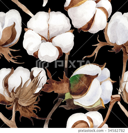 Wildflower cotton flower pattern in a watercolor Wildflower cotton flower pattern in a watercolor 34582782