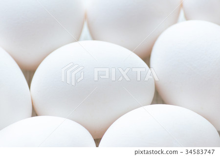 white eggs closeup with selective focus, fresh white eggs closeup with selective focus, fresh 34583747