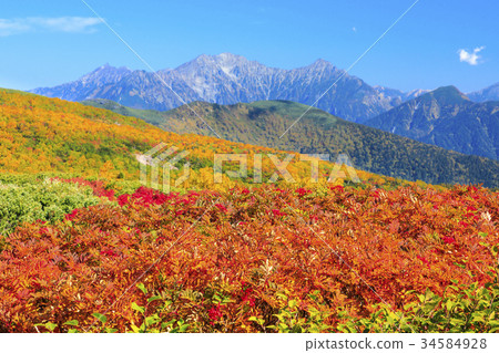 乘鞍 乘鞍 34584928