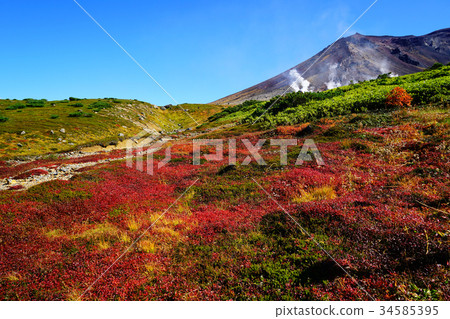 Hokkaido Asahidake Autumn leaves 34585395
