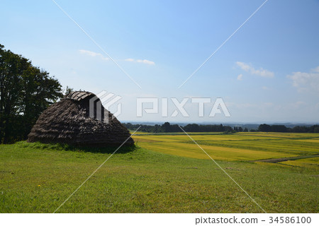 Autumn Emeizan ruins Jomon-style residence and rice field 34586100