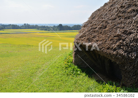 Autumn Emeizan ruins Jomon-style residence and rice field 34586102