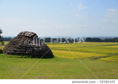Autumn Emeizan ruins Jomon-style residence and rice field 34586105