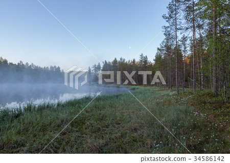 Foggy morning at forest pond Foggy morning at forest pond 34586142