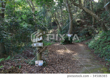 Tenmonkaku Climb 34586365