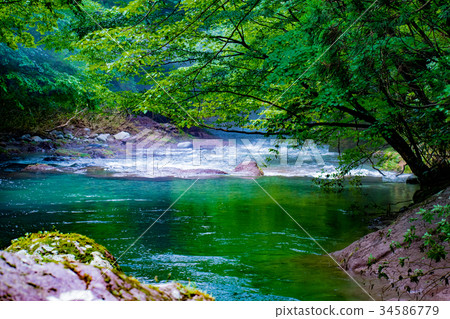 Gomogani Gomogani 34586779