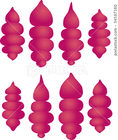 Chorogi李子醃製 Chorogi李子醃製 34587160