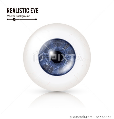 Realistic Human Eyeball. 3d Glossy Photorealistic 34588468
