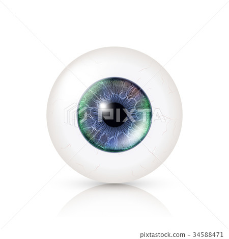 Realistic Human Eyeball. 3d Glossy Photorealistic 34588471