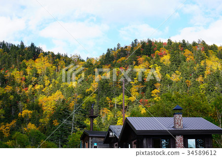 Hokkaido Three Kingdoms Autumn leaves 34589612