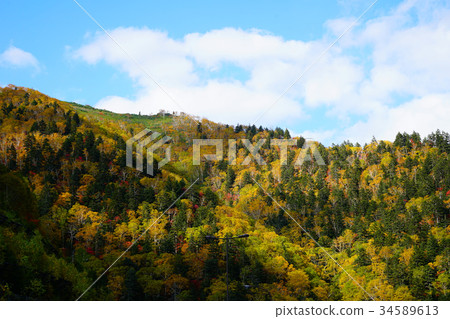 Hokkaido Three Kingdoms Autumn leaves 34589613