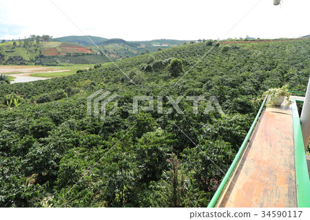 越南大叻 34590117