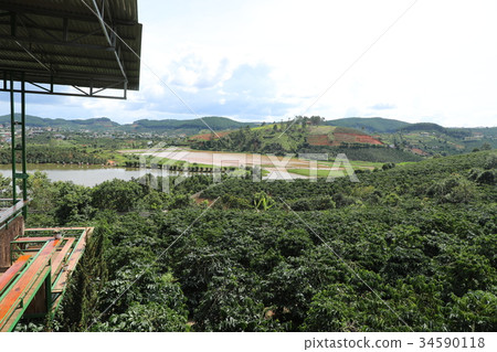 Vietnam Dalat 34590118