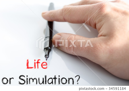 Life or simulation text concept Life or simulation text concept 34591184
