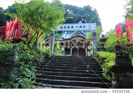太平山仁松(Aragodo) 太平山仁松(Aragodo) 34593798