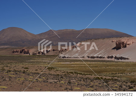 Valley on the Altiplano 34594172