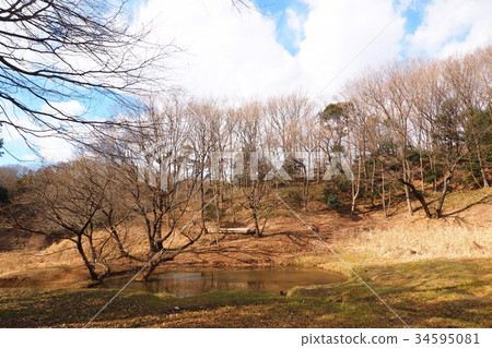 Winter valley scenery 34595081