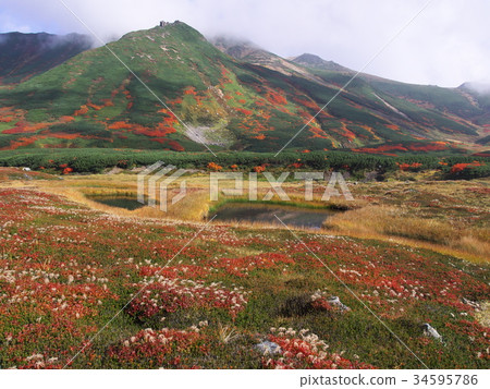 Daisetsuyama的Tingleka 34595786