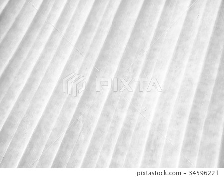 black and white leaf texture black and white leaf texture 34596221