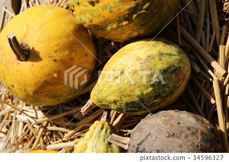 Autumn image (pepo pumpkin) Autumn image (pepo pumpkin) 34596327