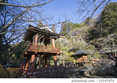 Yanaizu Kazokurason：三個最大的日本Kokuzotori之一的一個安靜的山。一個木頭最好的木龜。 34597978
