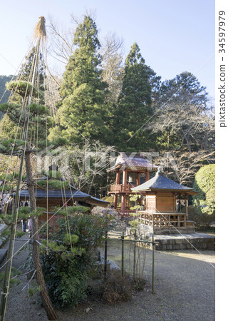 Yanaizu Kazokurason: A quiet mountain in one of the three largest Japanese Kokuzotori. A wooden tortoise with the best in wood. 34597979