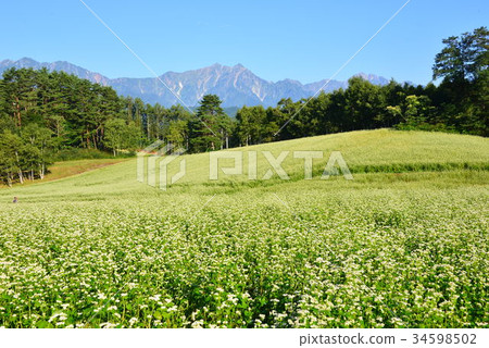 Sobahata Mimamura 34598502