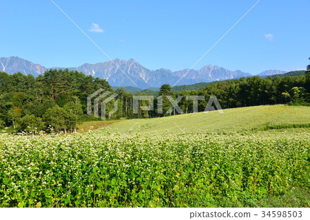 Sobahata Mimamura 34598503