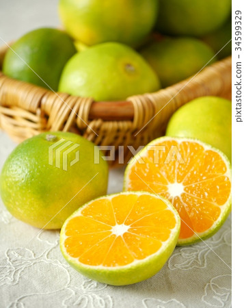 非常早出的有田橙（垂直位置向上） 34599329