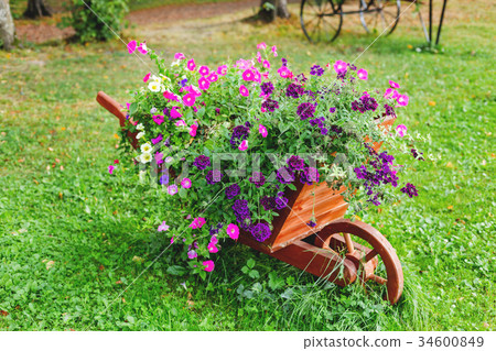 Flowerbed shaped as a wooden wheelbarrow. 34600849