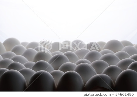 很多雞蛋 34601490