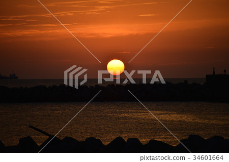 Asahi of Kuga Bay Asahi of Kuga Bay 34601664