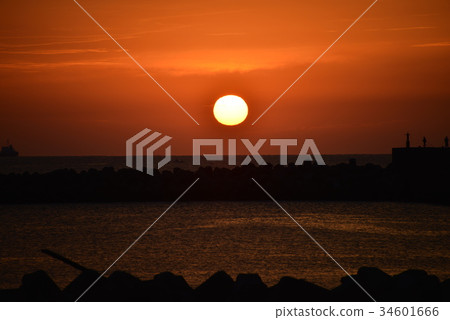 Asahi of Kuga Bay Asahi of Kuga Bay 34601666